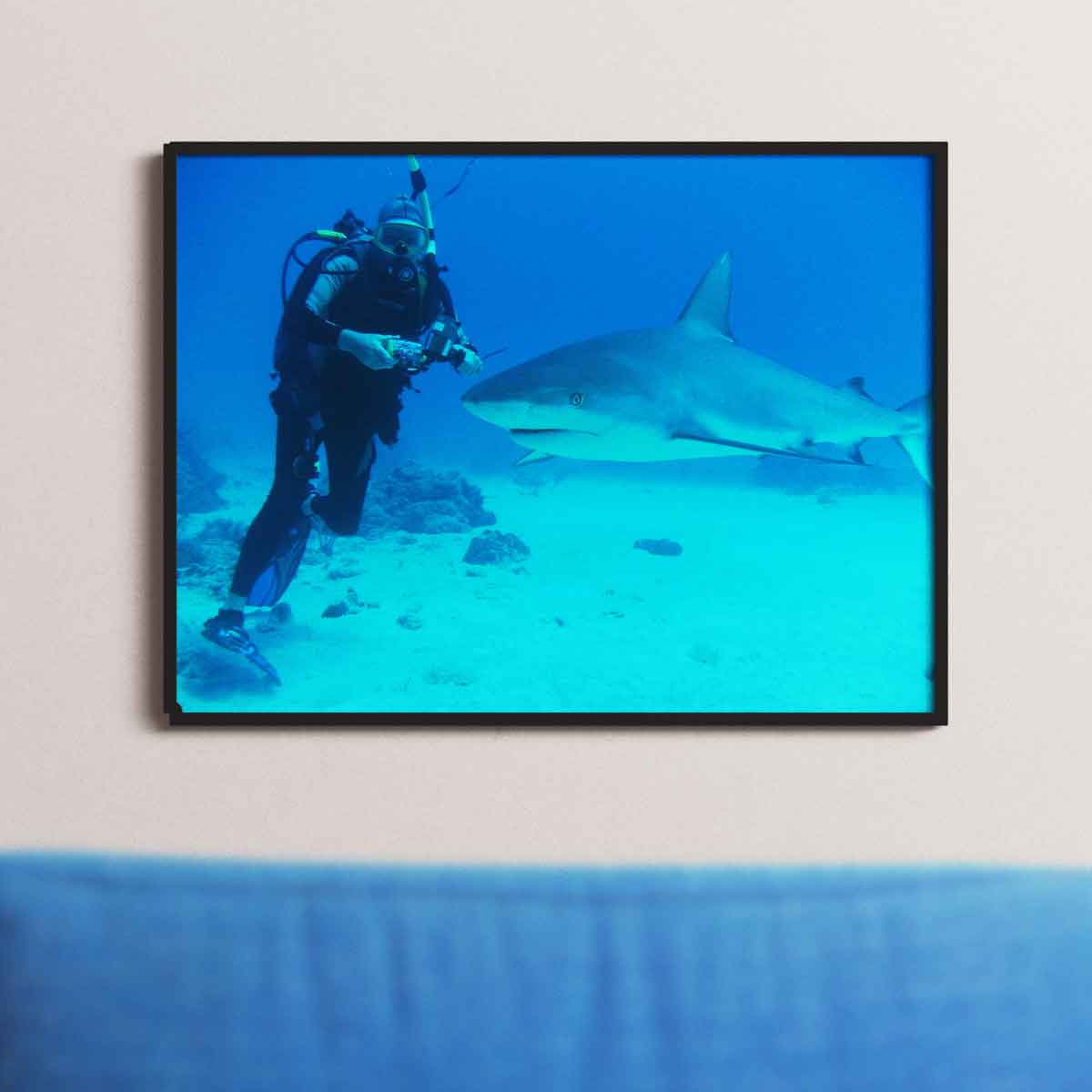 Shark poster in frame behind couch