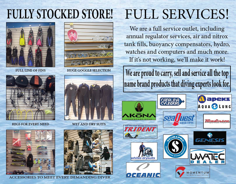 Brochure for Canadian Sports Subs Ltd.